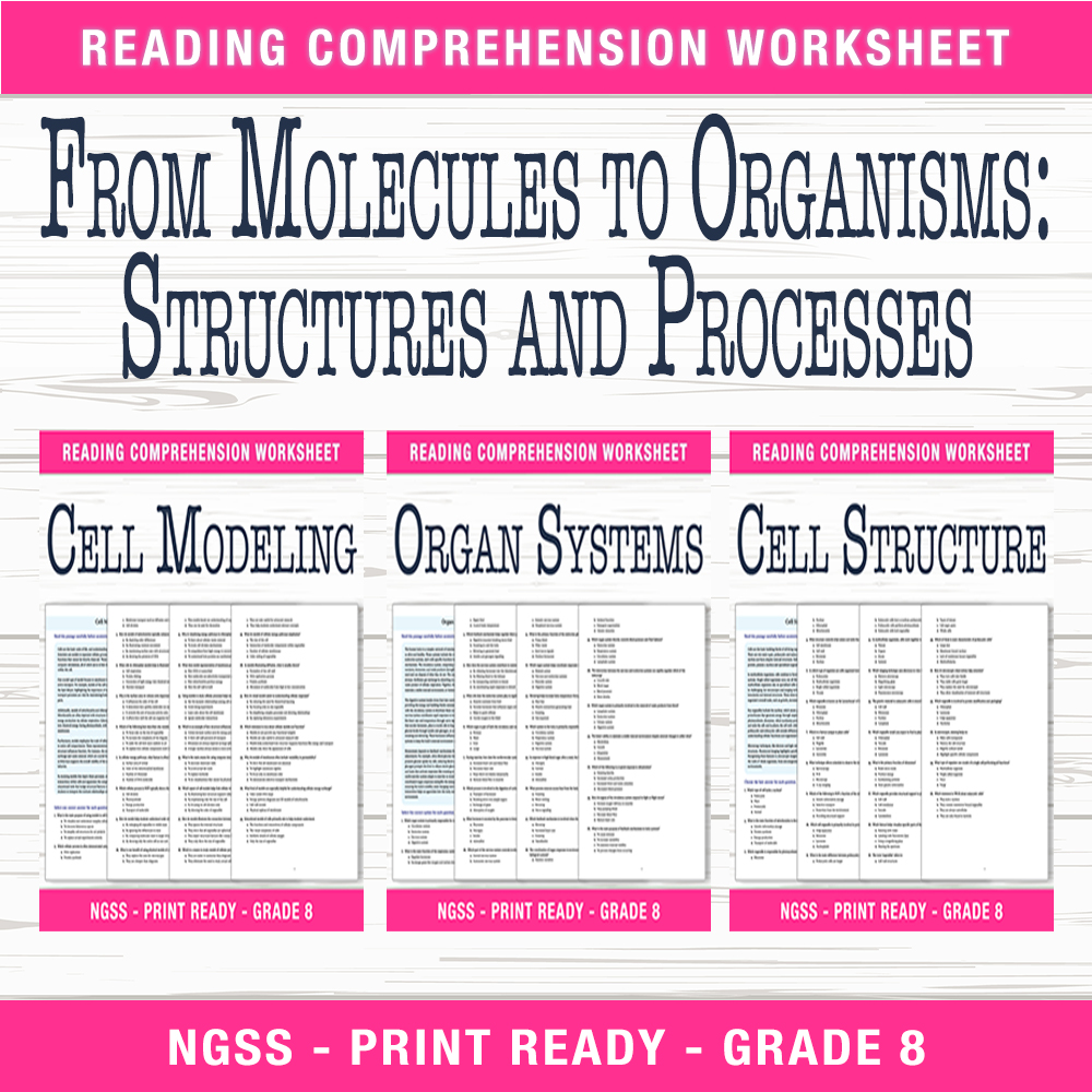Grade 8 Science | Organ & Cell Structures Worksheet Bundle (Answer Key Included) — bundle cover