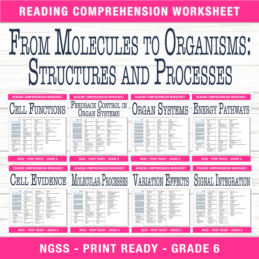 Grade 6 Science Unit Bundle | Cell Functions, Organ Systems & Energy Pathways — bundle cover