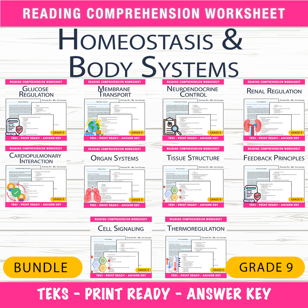 Grade 9 Science Unit | Human Body Systems & Homeostasis Worksheet Bundle — bundle cover