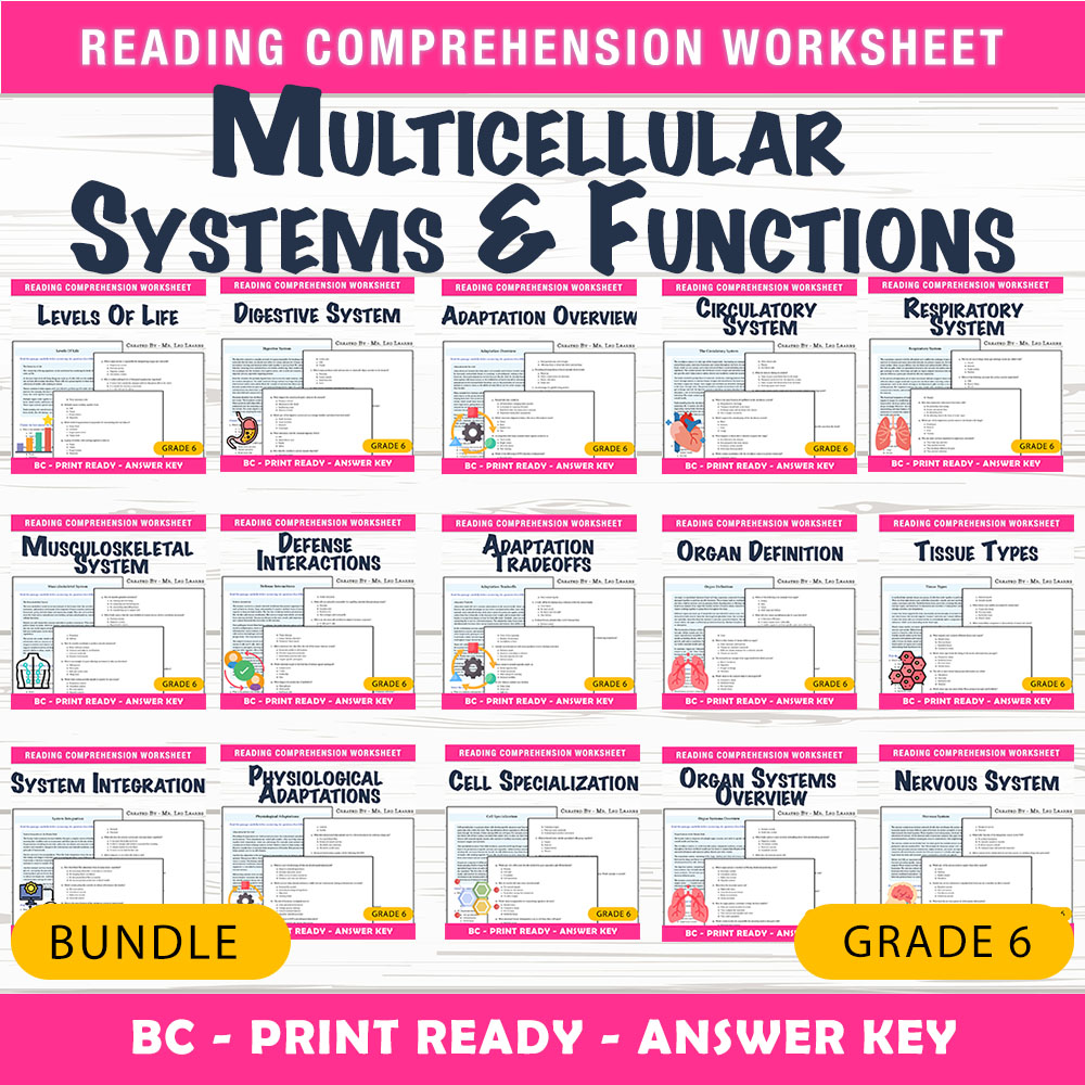 Grade 6 Science Unit | Multicellular Systems & Functions Worksheet Bundle — bundle cover