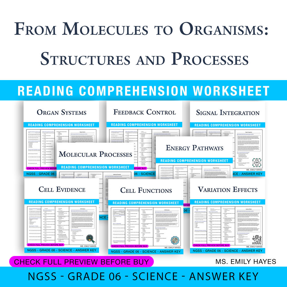 Grade 6 Science Bundle – Cell Functions, Energy & Systems (PDF + Answer Keys) — bundle cover