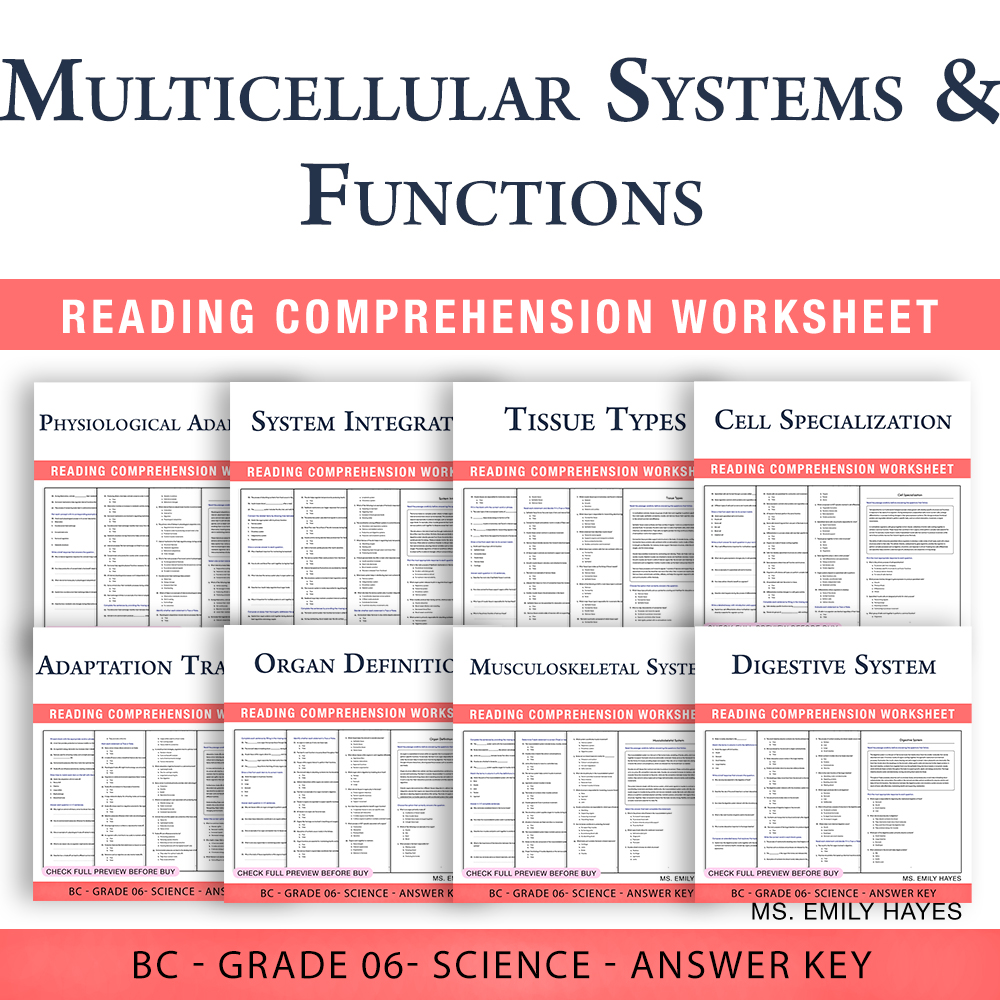 Grade 6 Science BC | Human Body Systems & Adaptations (PDF+ Answer Keys) — bundle cover