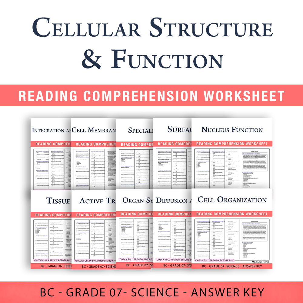 Grade 7 Science Unit  – Cells, Organ Systems & Surface Area (PDF+ Answer Key) — bundle cover