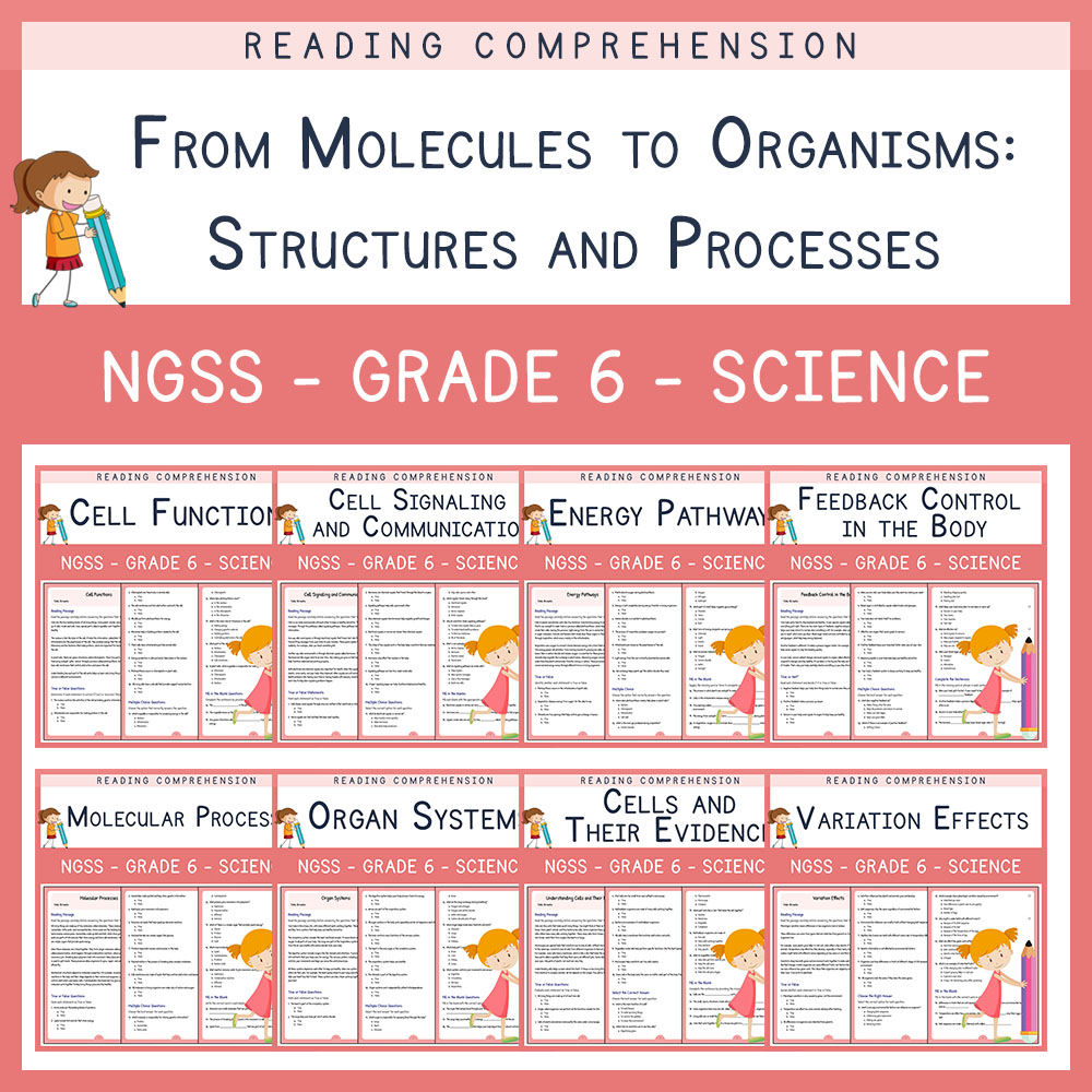 Grade 6 Science Unit Bundle | Cells, Energy & Systems NGSS Worksheets (PDF) — bundle cover