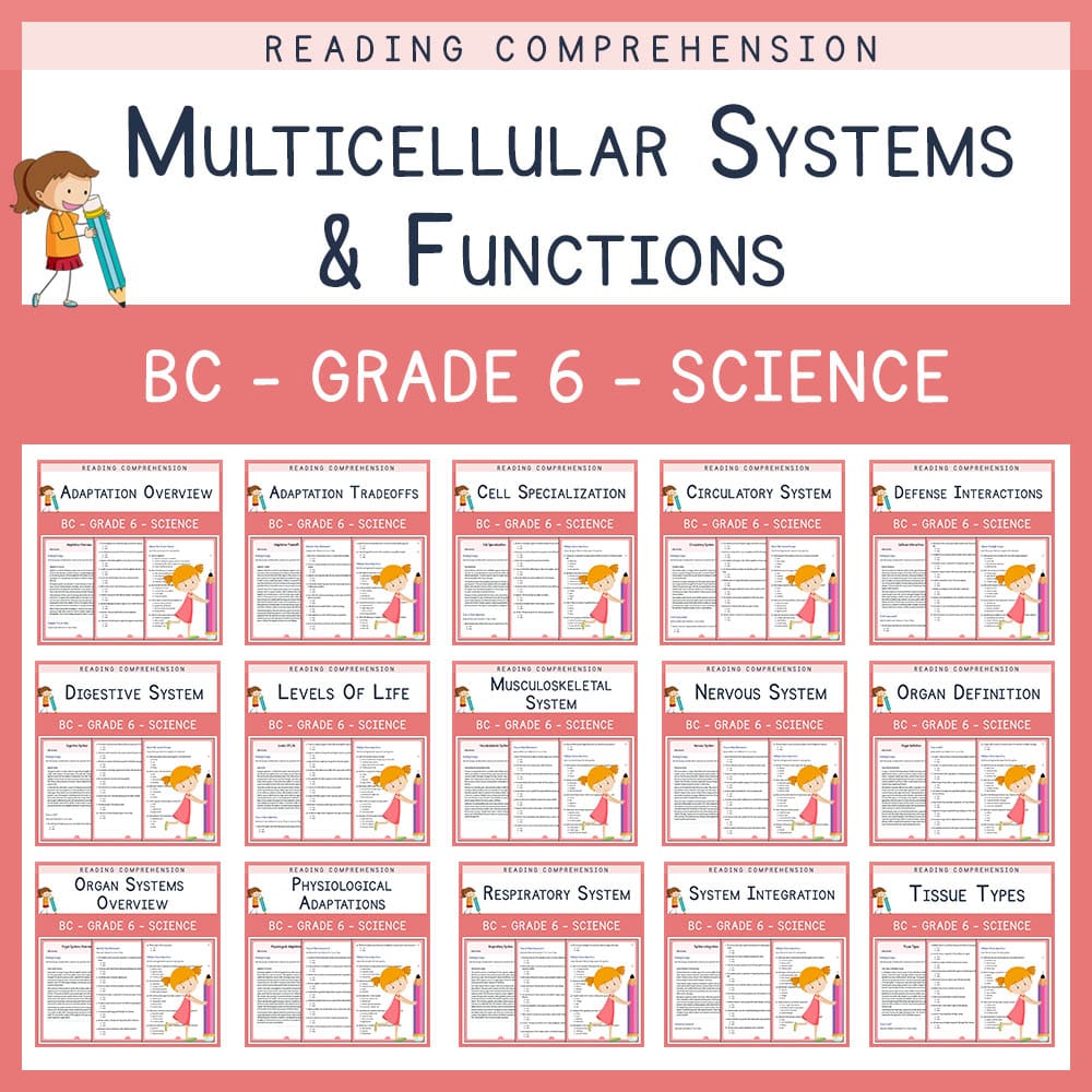 Grade 6 Science | Multicellular Systems & Functions | Custom Bundle | BC Aligned — bundle cover