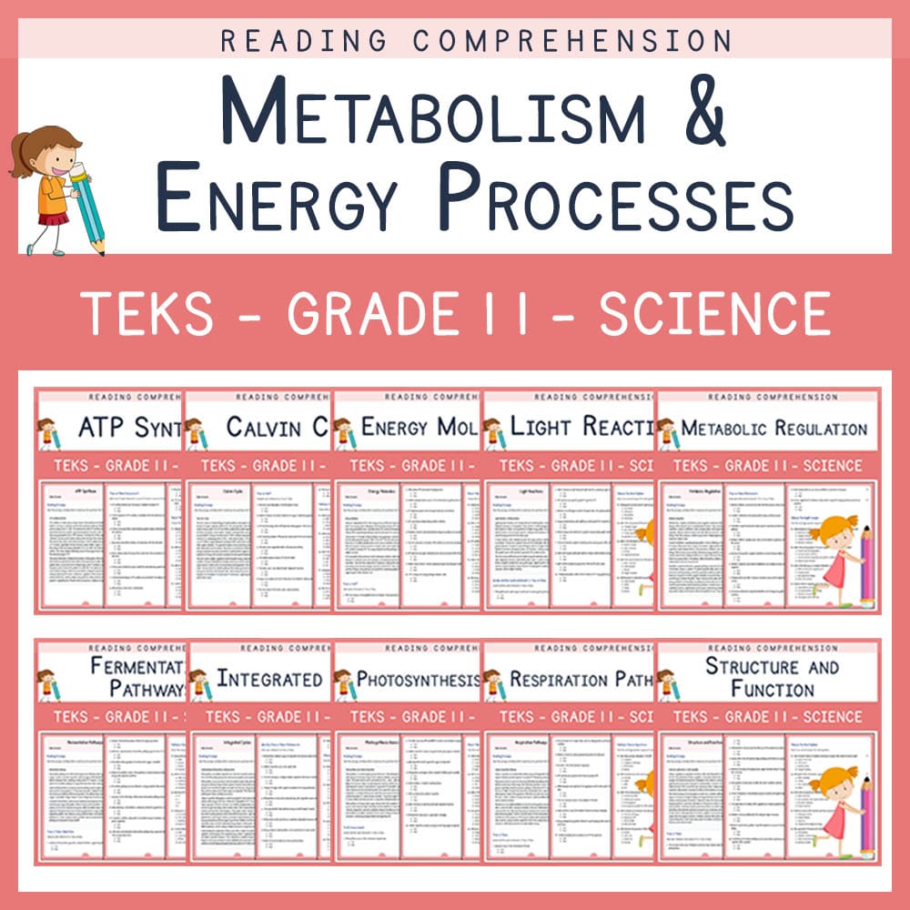 Grade 11 Science | Metabolism & Energy Processes Lesson Bundle | TEKS-aligned — bundle cover