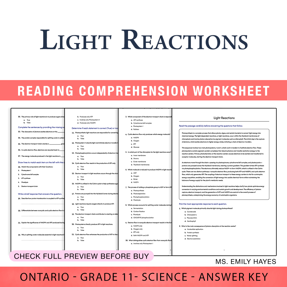 Grade 11 Science worksheet worksheet — Grade 11 Science | Light Reactions Worksheet (PDF + Answer Key) — page 1