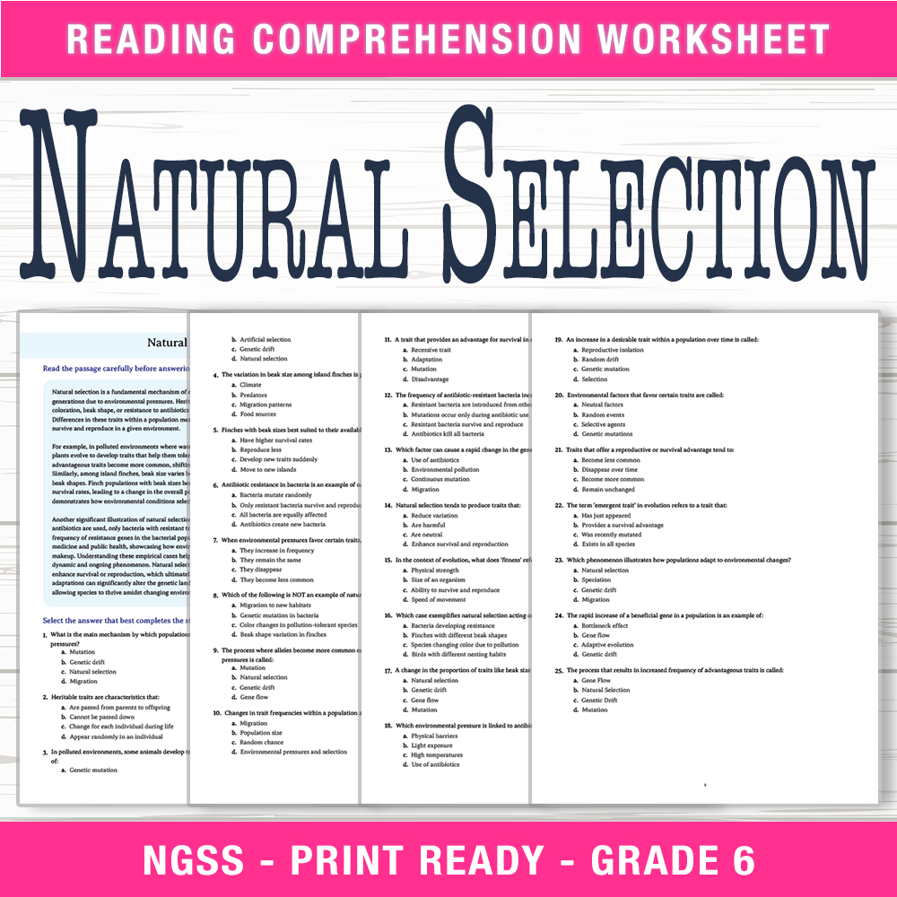 Grade 6 Science worksheet worksheet — 6th Grade Science | Natural Selection Worksheet (PDF + Answer Key) — page 1