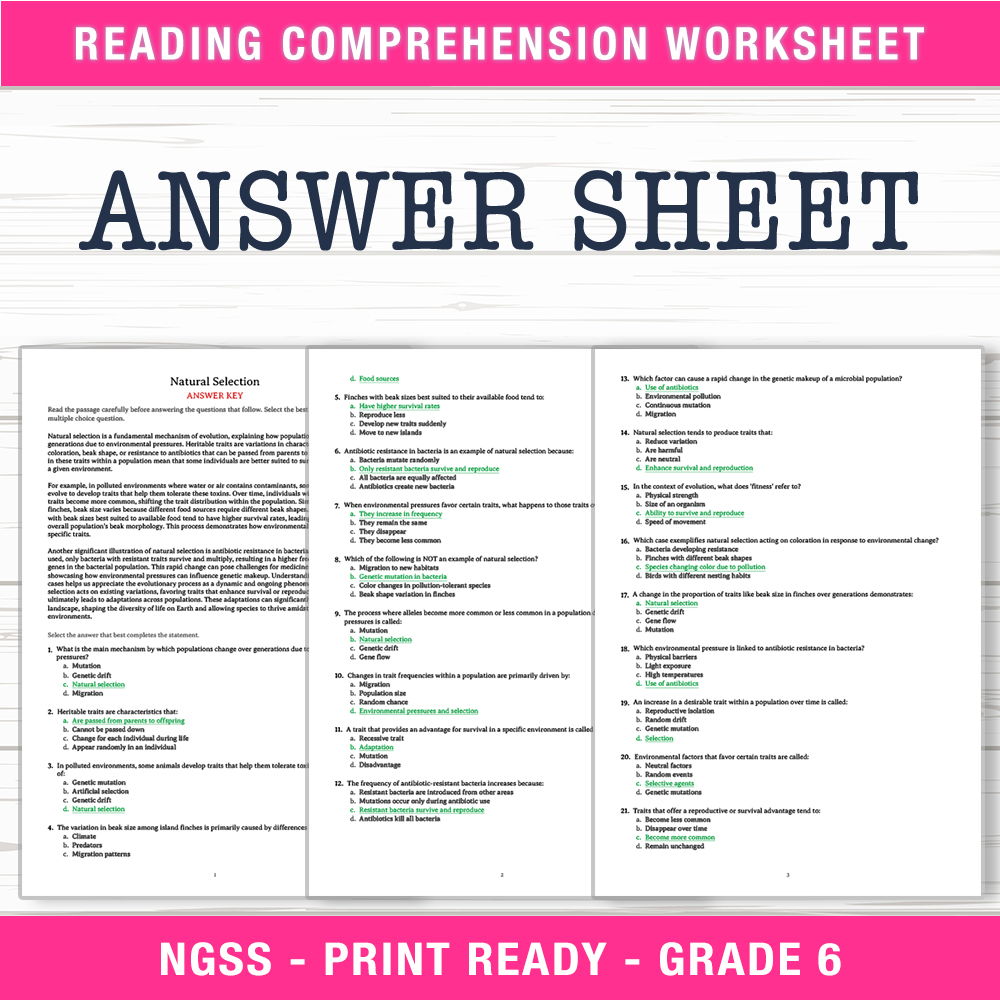 Grade 6 Science worksheet worksheet — 6th Grade Science | Natural Selection Worksheet (PDF + Answer Key) — page 2