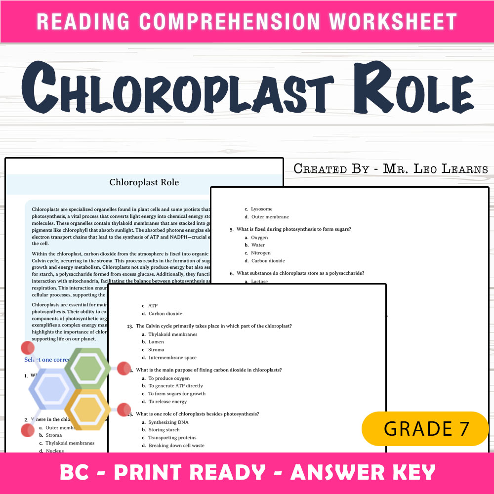 Grade 7 Science worksheet mcq paper worksheet — Grade 7 Science — Chloroplast Role Worksheet for Mastery — page 1