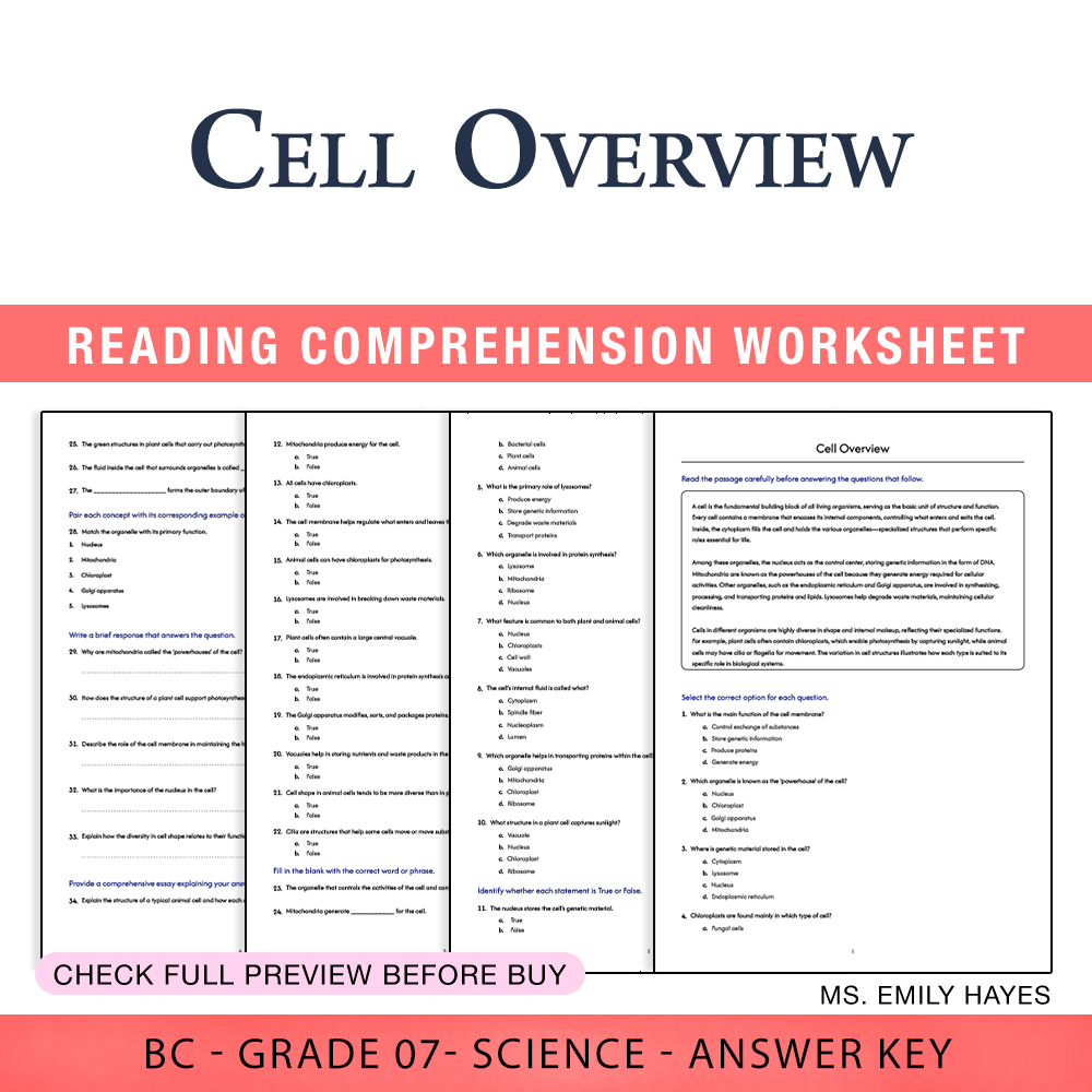 Grade 7 Science worksheet worksheet — 7th Grade Science | Cell Overview Worksheet (PDF+ Answer Key) — page 1