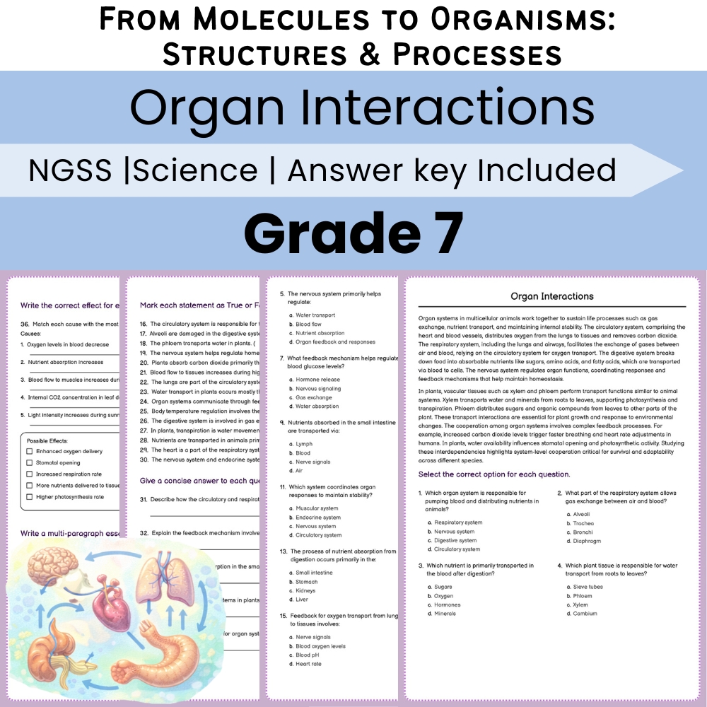 Grade 7 Science Lesson Bundle | From Molecules to Organisms NGSS — included worksheet 1