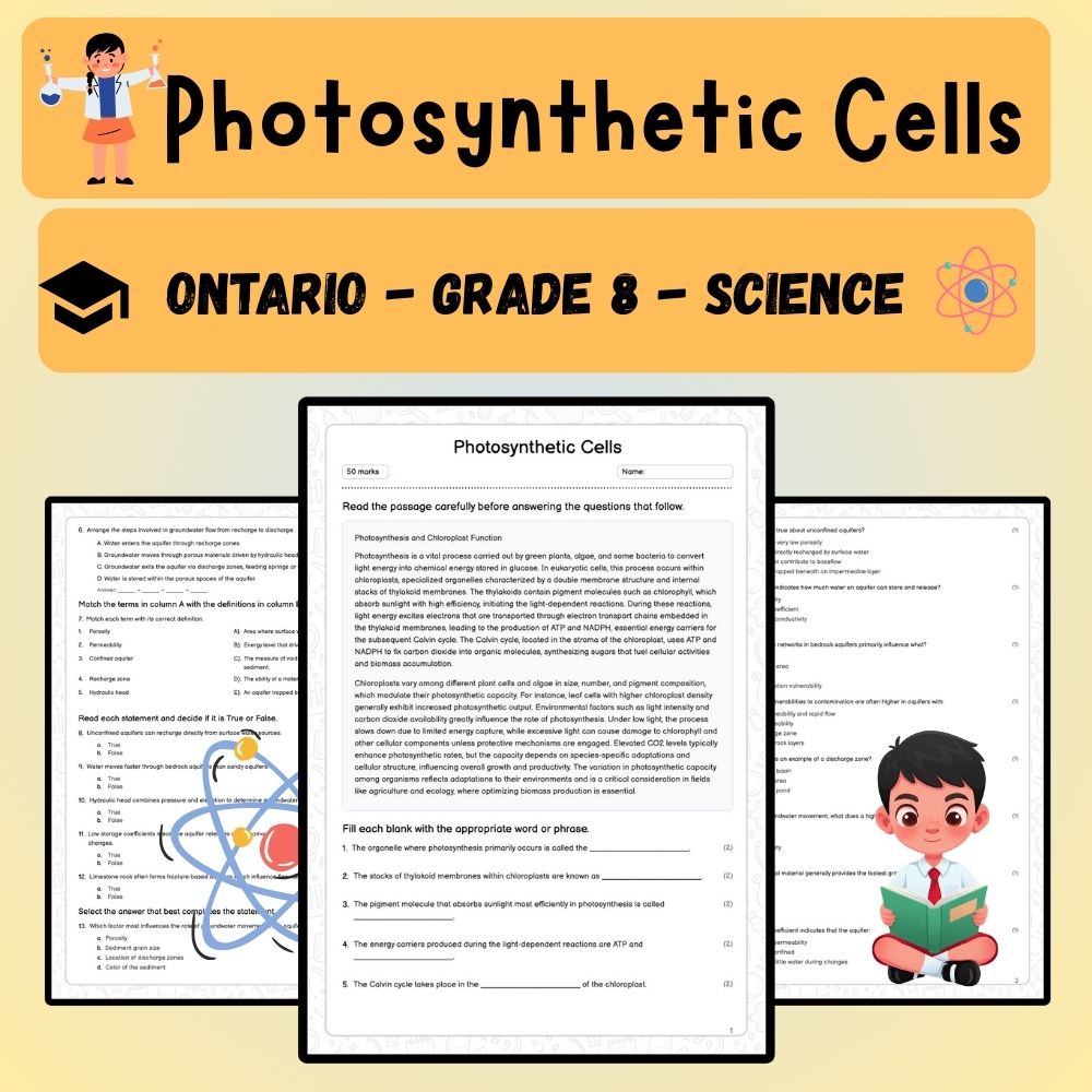 Grade 8 Science worksheet worksheet — Grade 8 Science | Photosynthetic Cells Worksheet (PDF) — page 1