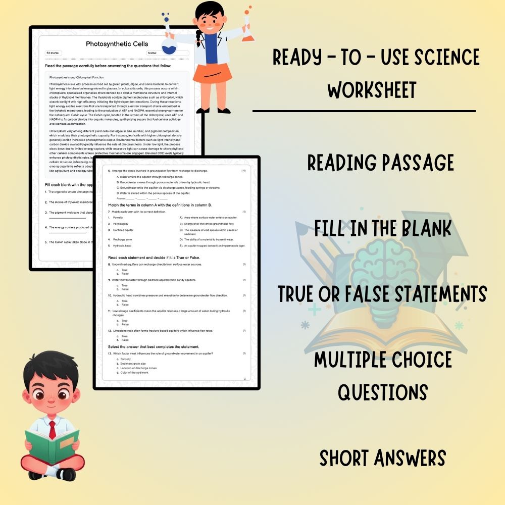 Grade 8 Science worksheet worksheet — Grade 8 Science | Photosynthetic Cells Worksheet (PDF) — page 2