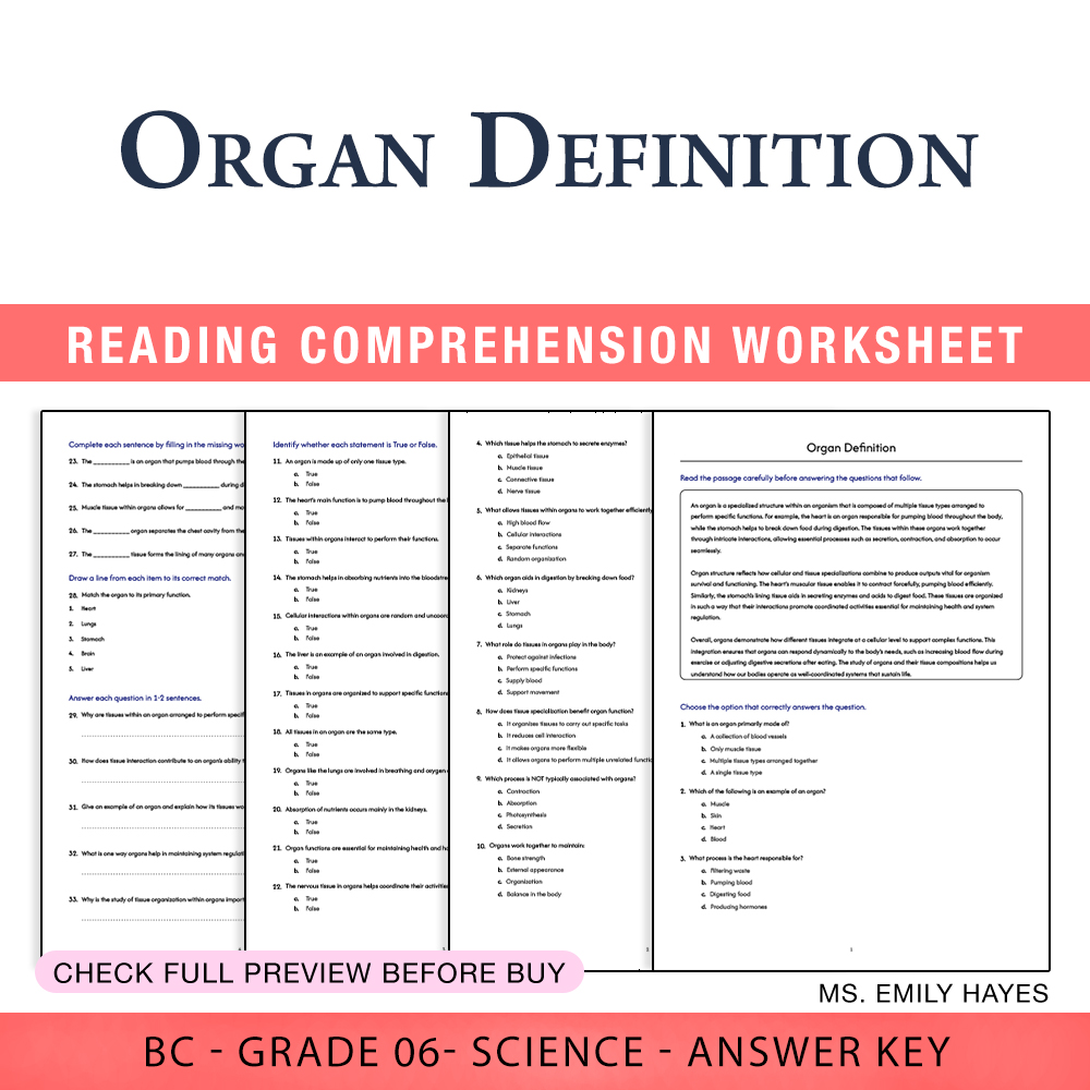 Grade 6 Science worksheet worksheet — 6th Grade Science | Organ Definition Worksheet (PDF + Answer Key) — page 1
