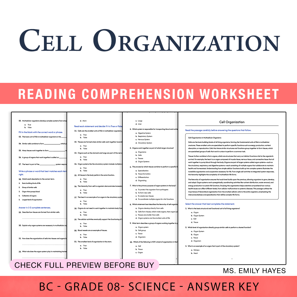 Grade 8 Science worksheet worksheet — 8th Grade Science | Cell Organization Worksheet (PDF+ Answer Key) — page 1