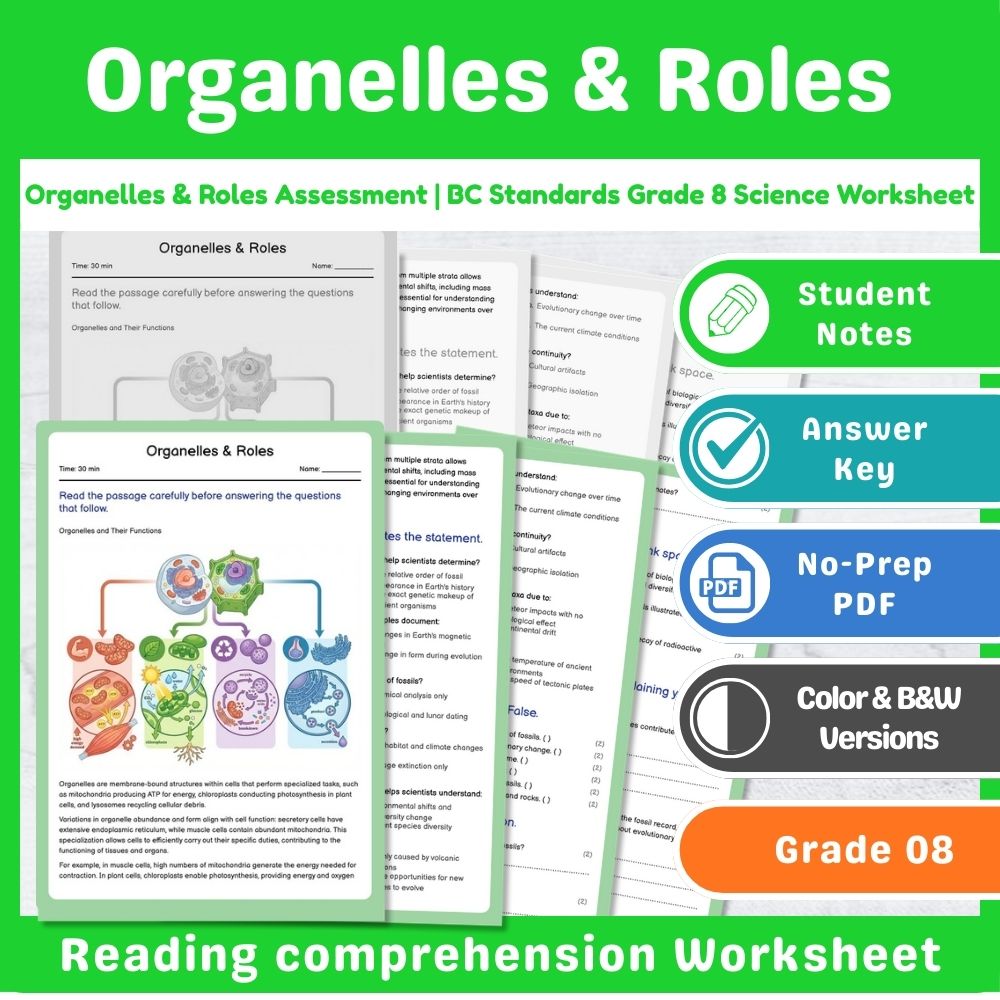 Grade 8 Science – Cell Structure & Function Assessment | Standards-Aligned Unit — included worksheet 3