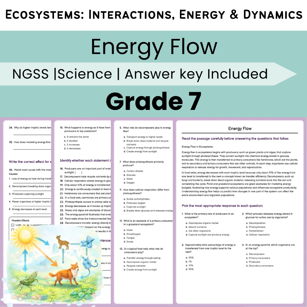 Grade 7 Science Ecosystems Lesson Bundle | NGSS Interactions & Energy — included worksheet 1