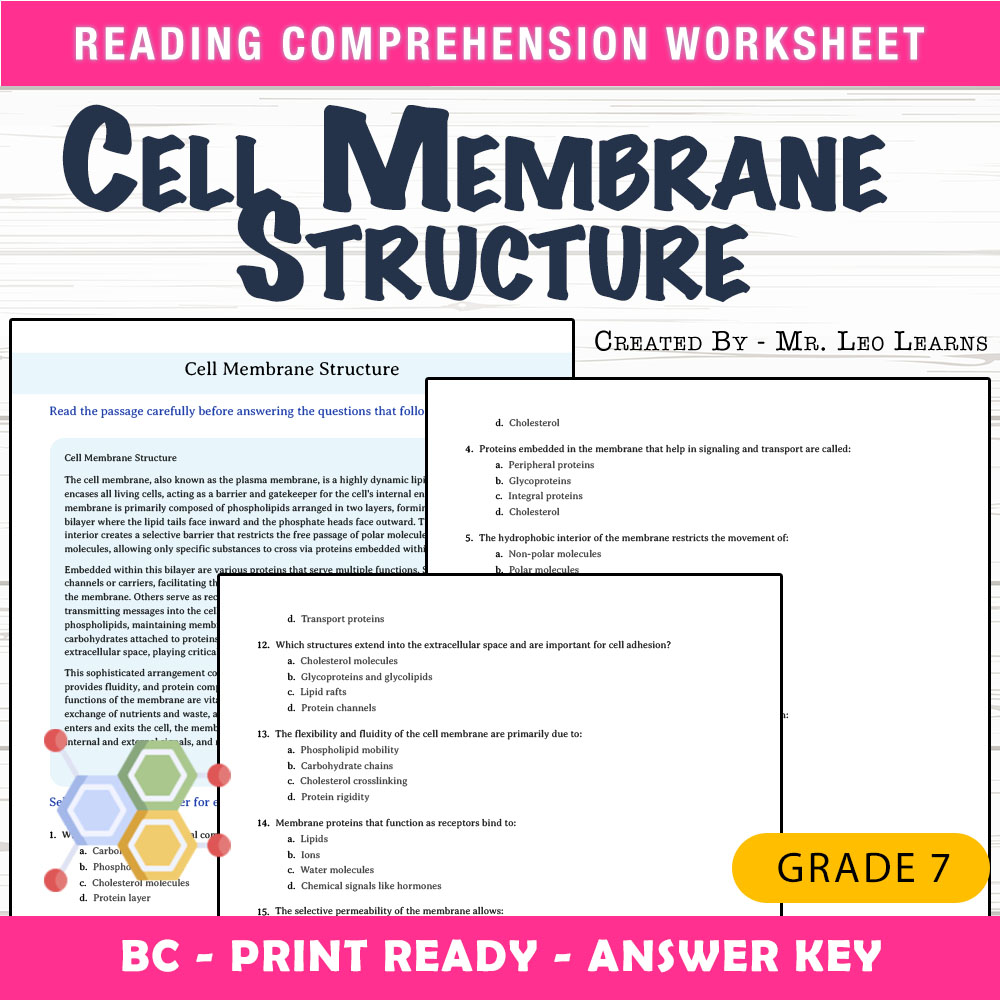 Grade 7 Science worksheet mcq paper worksheet — Grade 7 Science – Cell Membrane Structure Worksheet for Mastery — page 1