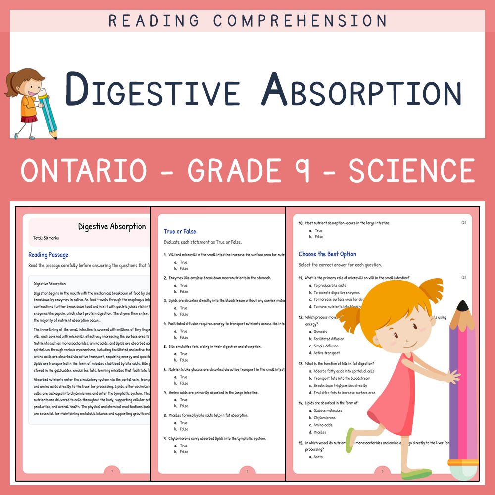 Grade 9 Science worksheet elena worksheet — Grade 9 Science | Digestive Absorption Worksheet | Ontario Standard — page 1