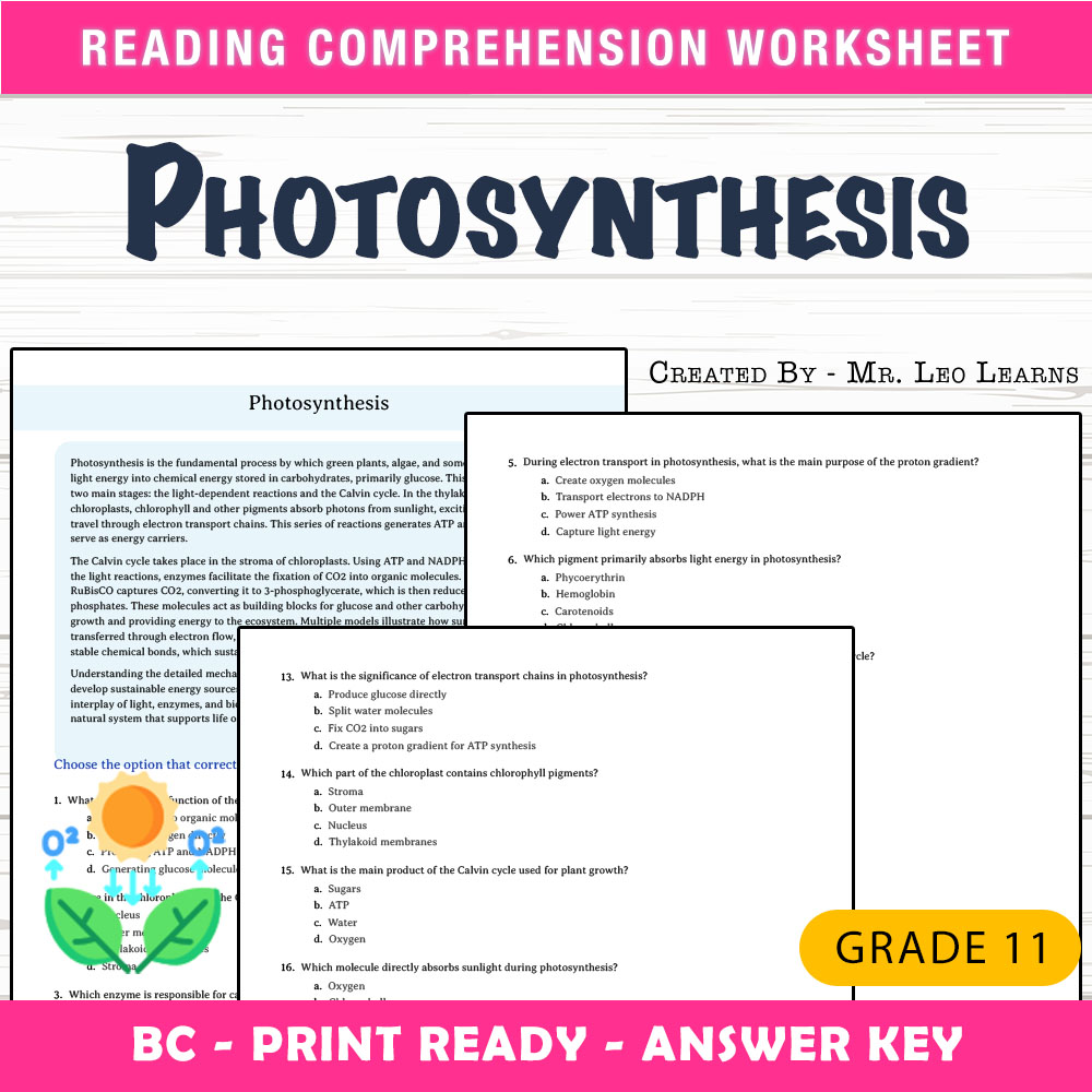 Grade 11 Science worksheet mcq paper worksheet — Grade 11 Science — Photosynthesis Worksheet MCQ Paper for Mastery — page 1