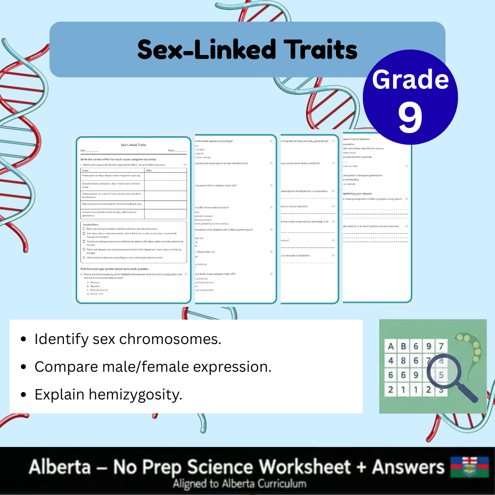 Grade 9 Science Worksheet Bundle | Genetics, Chemistry & Physics Concepts — included worksheet 2