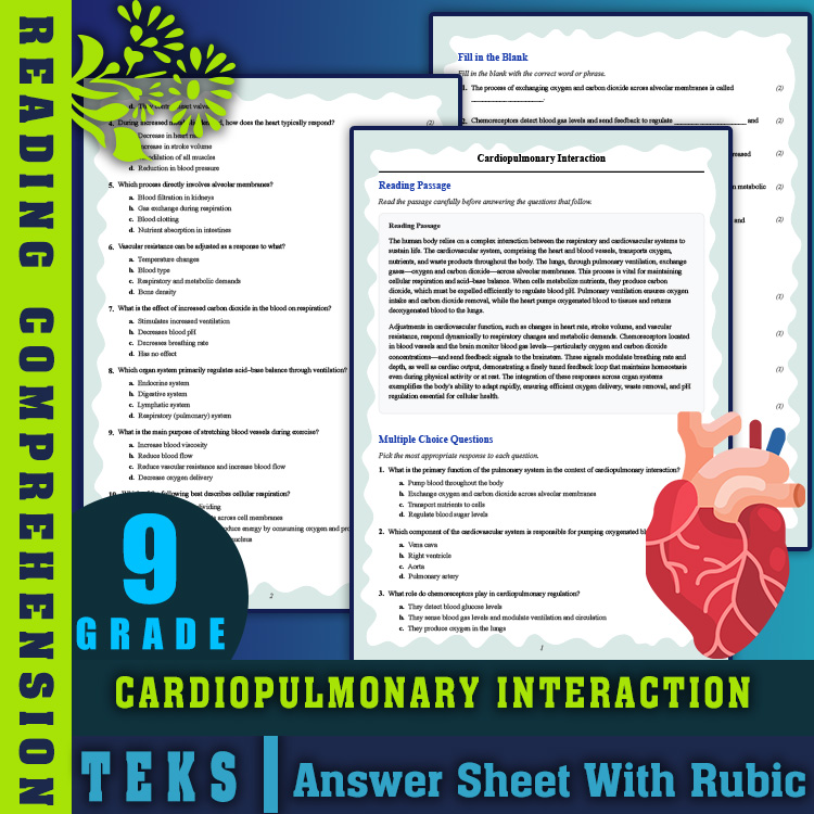 Grade 9 Science reading worksheets worksheet — 9th Grade Science | Cardiopulmonary Interaction Reading (PDF + Answer Key)…