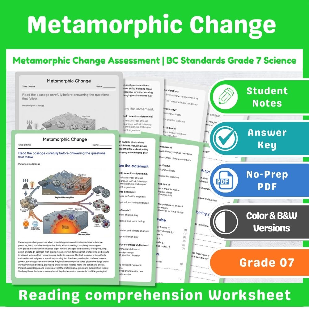 Grade 7 Science Lesson – Earth Processes Assessment & Landforms Bundle — included worksheet 1