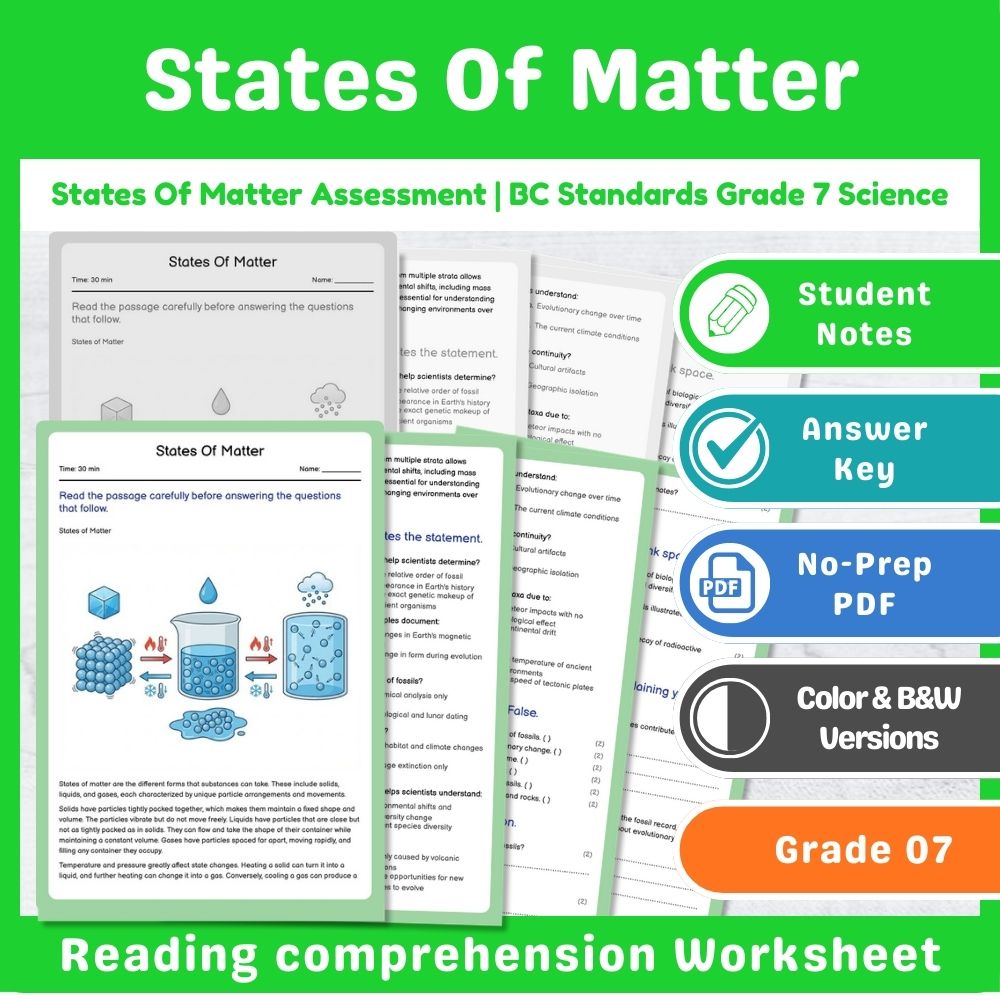 Grade 7 Science Lesson – States of Matter & Reaction Types Assessment Bundle — included worksheet 2