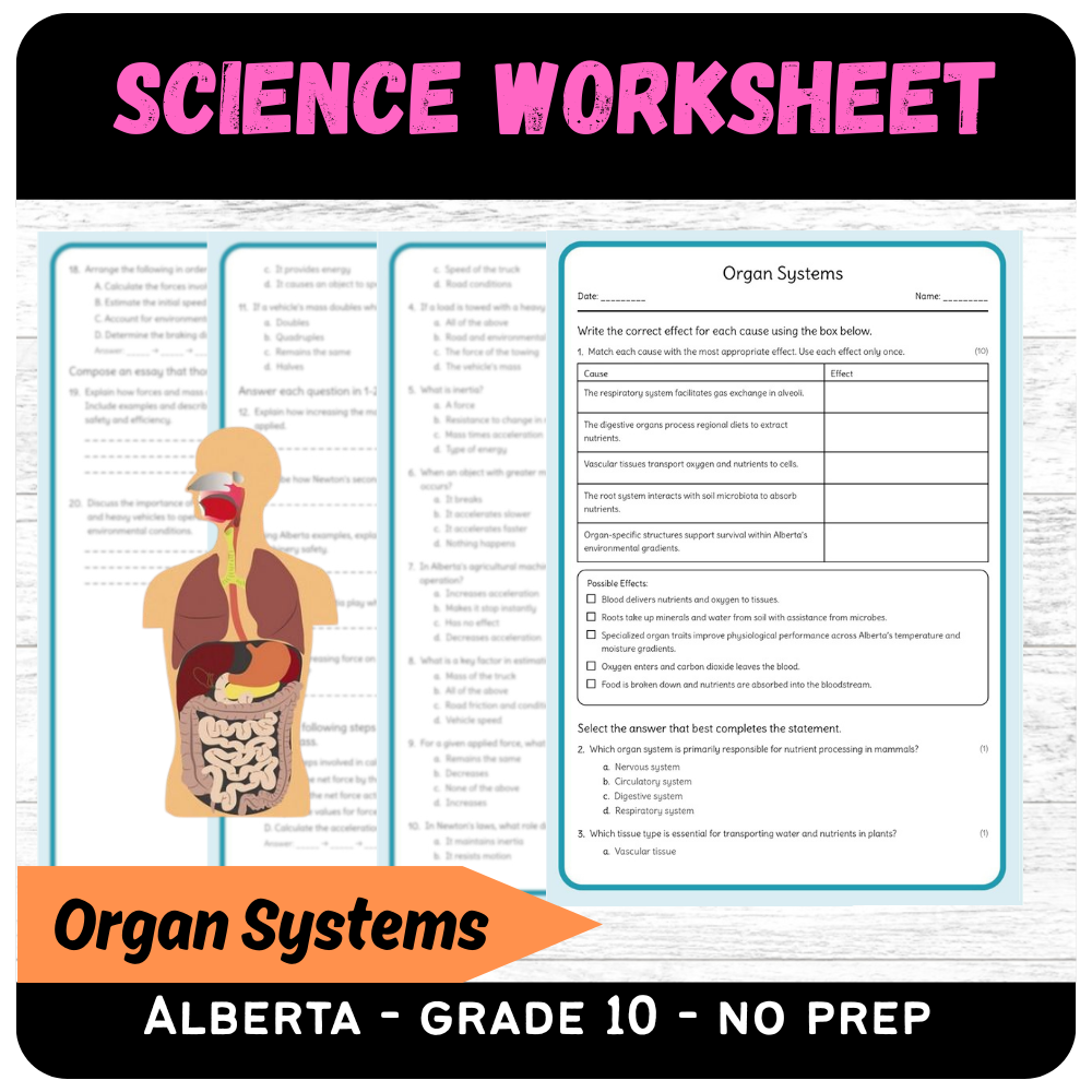 Grade 10 Science | Organ Systems (Worksheet + Answer Key) – Alberta Standard