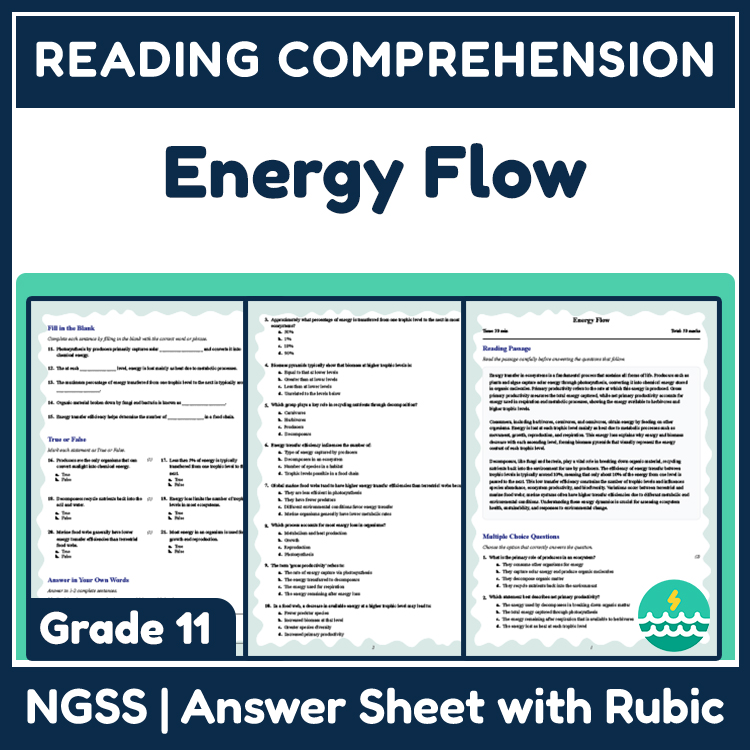 Grade 11 Science reading worksheets worksheet — 11th Grade Science | Energy Flow Reading Worksheet with PDF Answer Key — p…