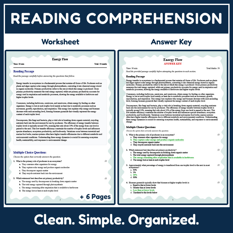 Grade 11 Science reading worksheets worksheet — 11th Grade Science | Energy Flow Reading Worksheet with PDF Answer Key — p…