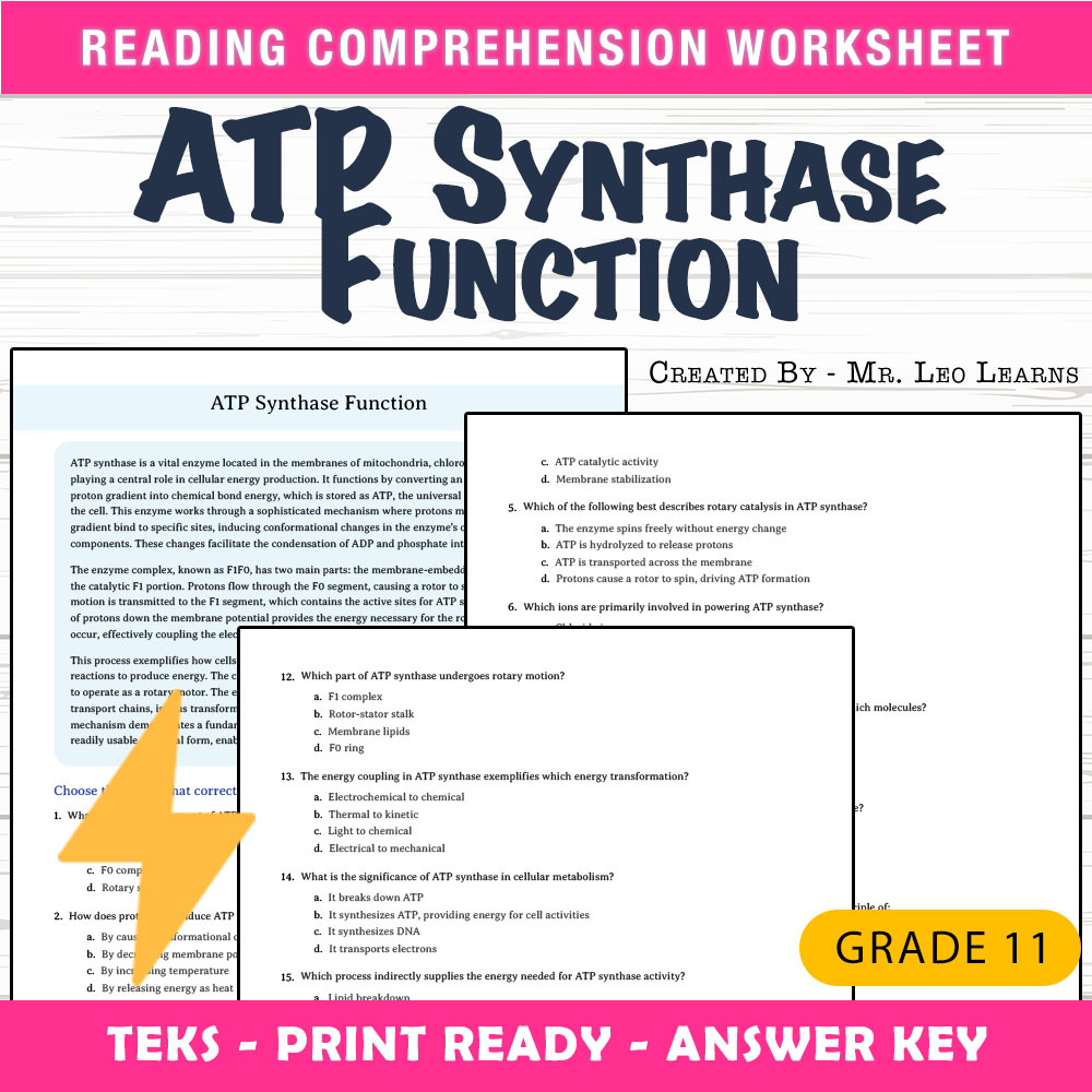 Grade 11 Science worksheet worksheet — Grade 11 Science – ATP Synthase Function Worksheet for Mastery — page 1
