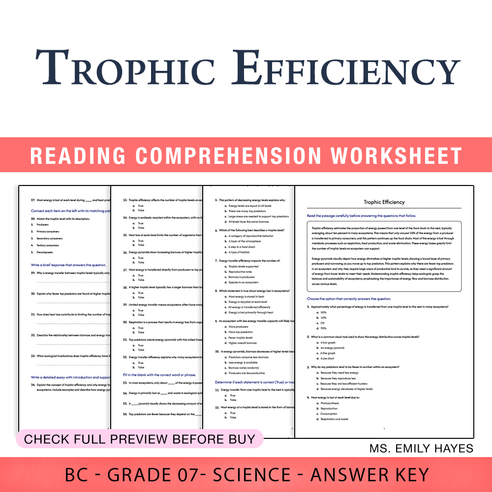 Grade 7 Science worksheet worksheet — 7th Grade Science | Trophic Efficiency Worksheet (PDF+ Answer Key) — page 1