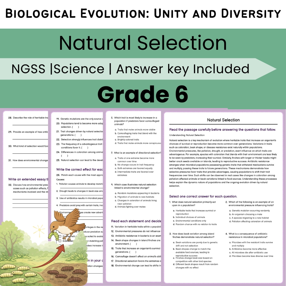 Grade 6 Science NGSS Worksheet Bundle | Comprehensive STEM Practice Pack — included worksheet 2