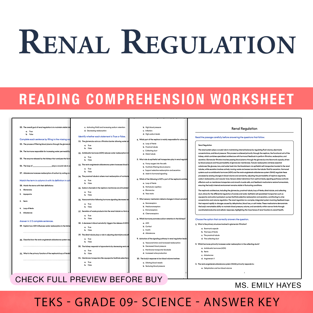 Grade 9 Science worksheet worksheet — 9th Grade Science | Renal Regulation Worksheet (PDF+ Answer Key) — page 1
