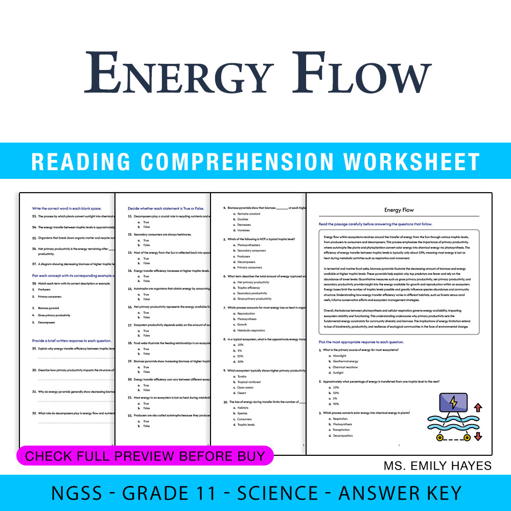 Grade 11 Science worksheet worksheet — 11th Grade Science | Energy Flow Worksheet (PDF+ Answer Key) — page 1