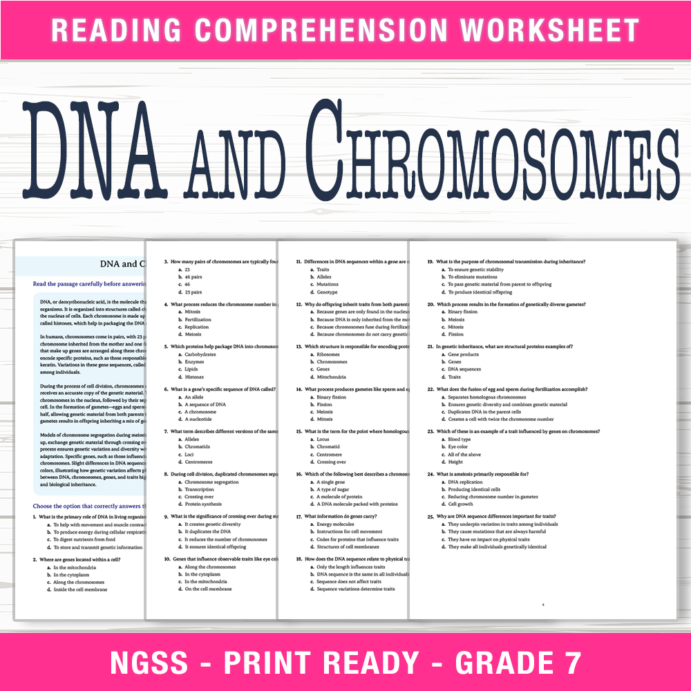 Grade 7 Science worksheet worksheet — Grade 7 Science | DNA & Chromosomes Worksheet (PDF + Answer Key) — page 1