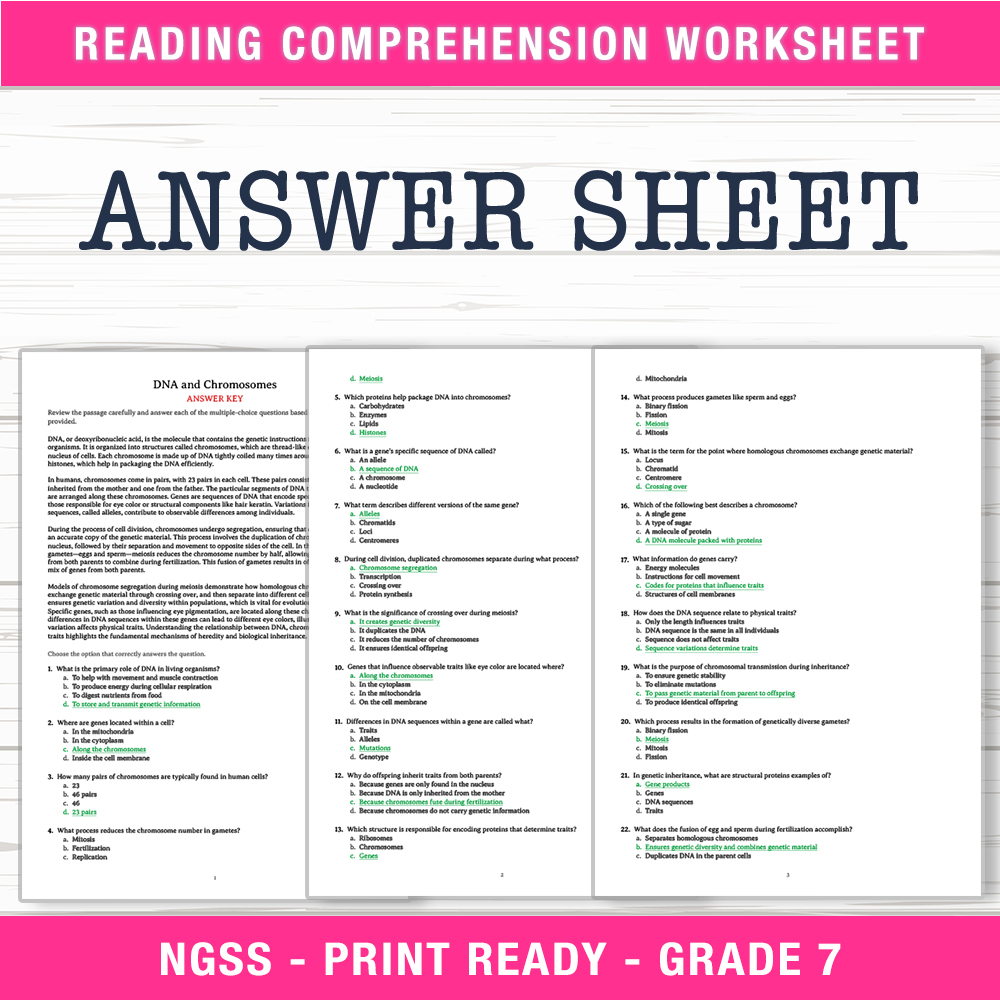 Grade 7 Science worksheet worksheet — Grade 7 Science | DNA & Chromosomes Worksheet (PDF + Answer Key) — page 2