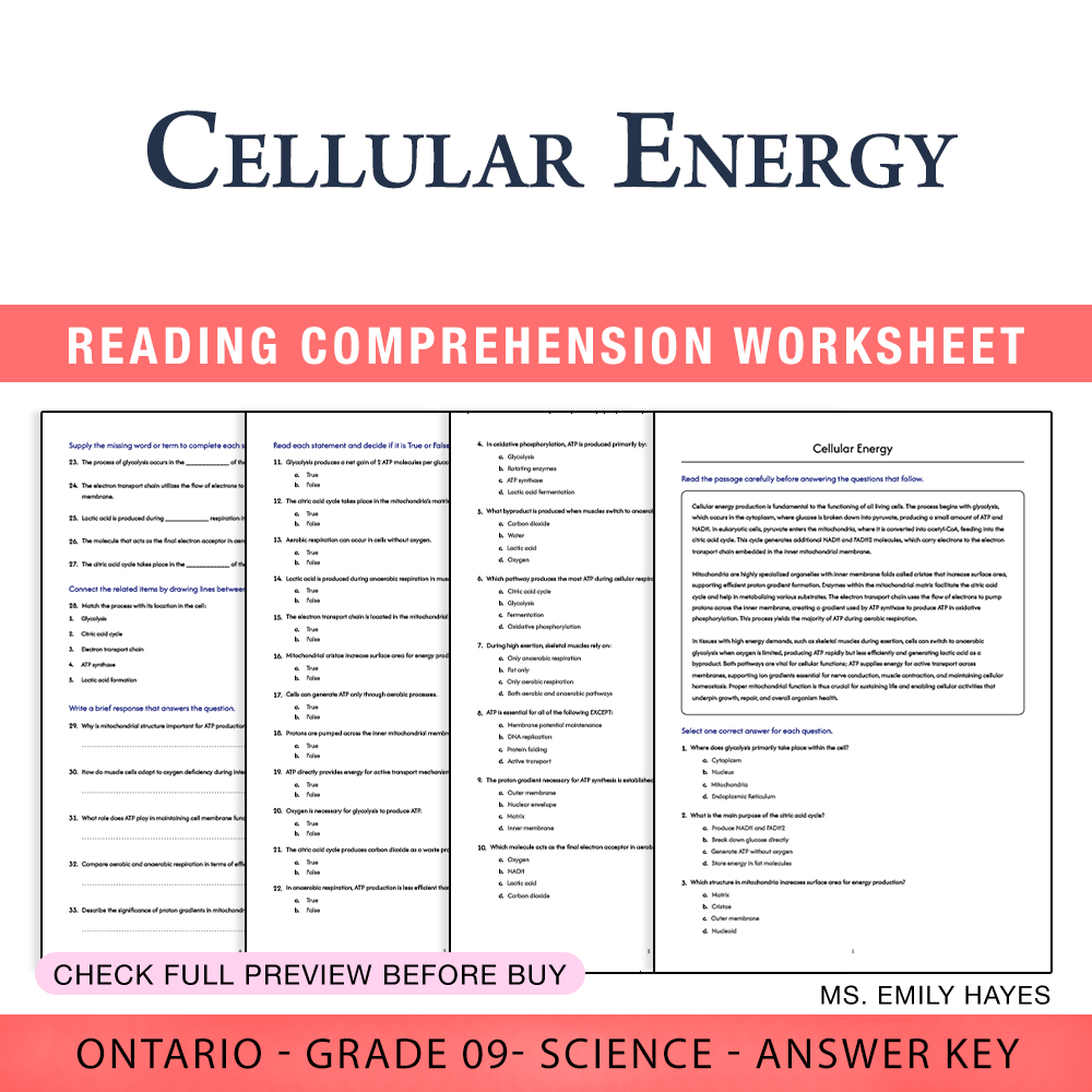 Grade 9 Science worksheet worksheet — Grade 9 Science | Cellular Energy Worksheet (PDF + Answer Key) — page 1