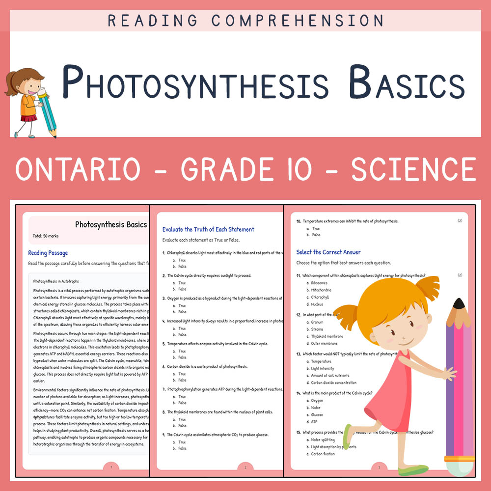 Grade 10 Science worksheet elena worksheet — Grade 10 Science | Photosynthesis Basics Worksheet Elena | Ontario Standard —…