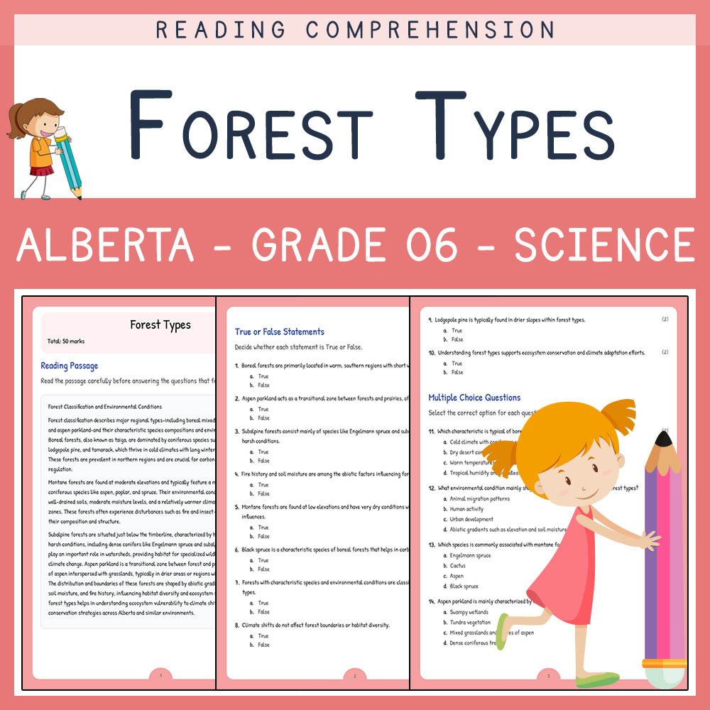 Grade 6 Science worksheet elena worksheet — Grade 6 Science | Forest Types Worksheet Elena | Alberta Standards — page 1