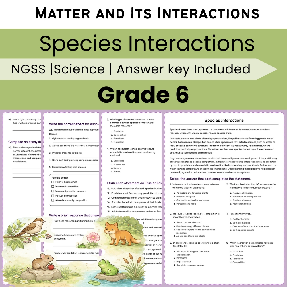 Grade 6 Science NGSS Worksheet Bundle | Comprehensive STEM Practice Pack — included worksheet 3