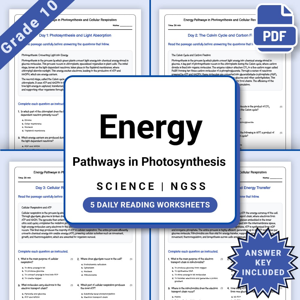 Grade 10 Science daily reading worksheet worksheet — Grade 10 Science – Energy Pathways in Photosynthesis Worksheet (PDF +…