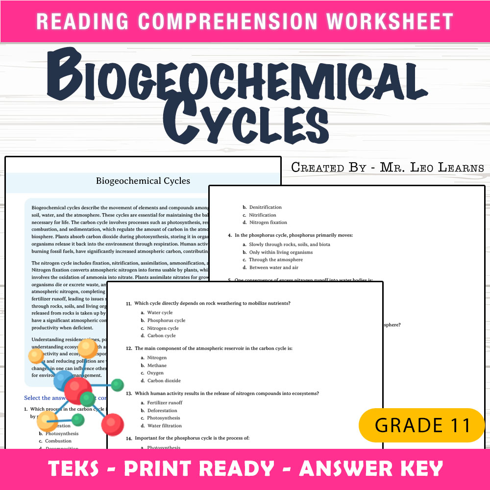Grade 11 Science worksheet worksheet — Grade 11 Science — Biogeochemical Cycles Worksheet for Mastery — page 1