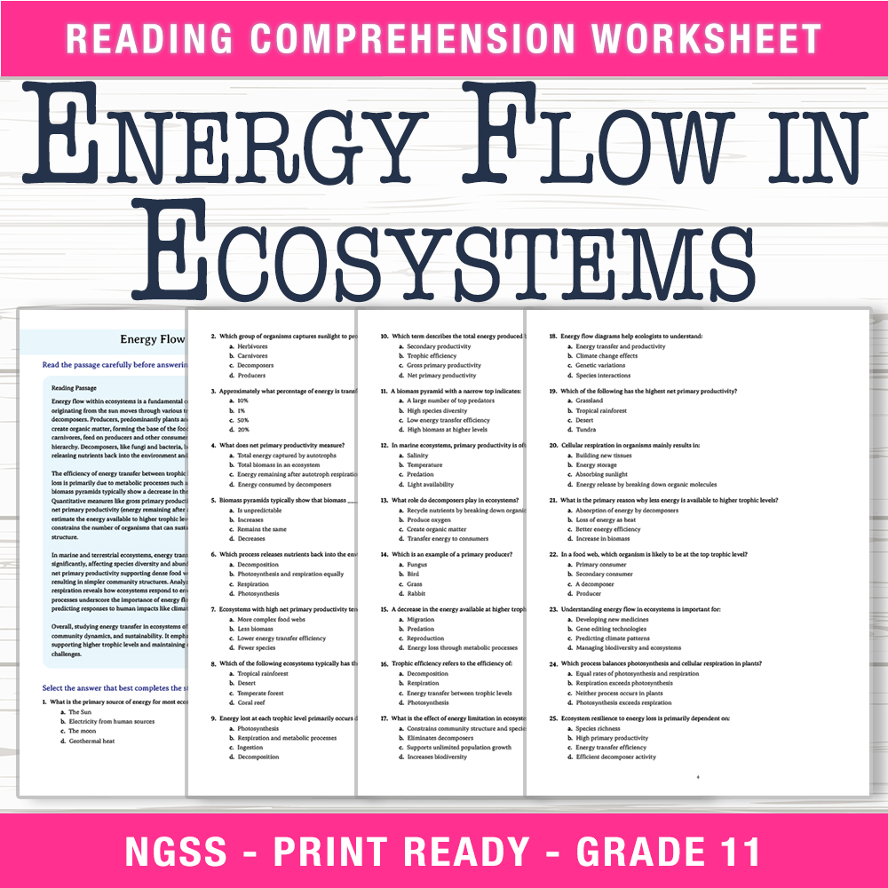 Grade 11 Science worksheet worksheet — Grade 11 Science | Energy Flow in Ecosystems Worksheet (PDF +  Answer Key) — page 1