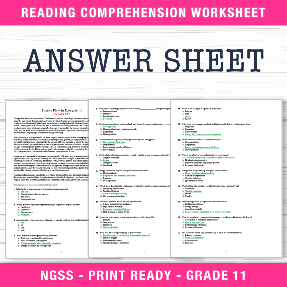 Grade 11 Science worksheet worksheet — Grade 11 Science | Energy Flow in Ecosystems Worksheet (PDF +  Answer Key) — page 2