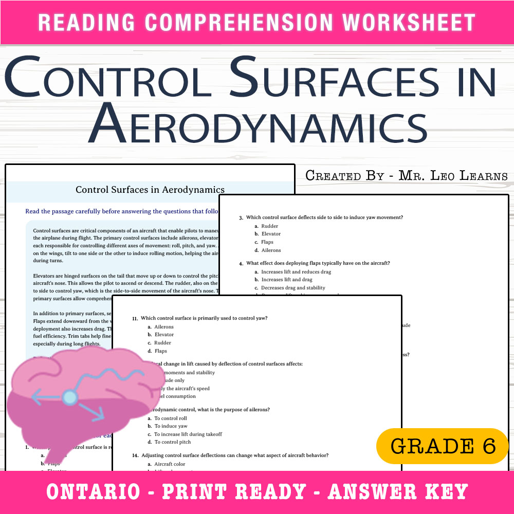 Grade 6 Science worksheet worksheet — Grade 6 Science — Control Surfaces in Aerodynamics Worksheet for Mastery — page 1
