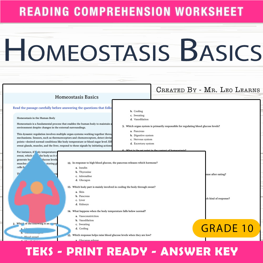 Grade 10 Science worksheet worksheet — Grade 10 Science – Homeostasis Basics Worksheet for Mastery — page 1