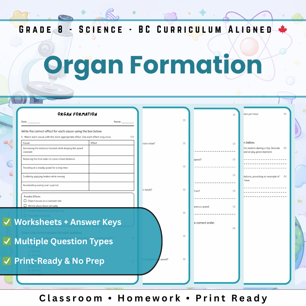 Grade 8 Science | Organ Formation Worksheet (PDF) for BC Standards